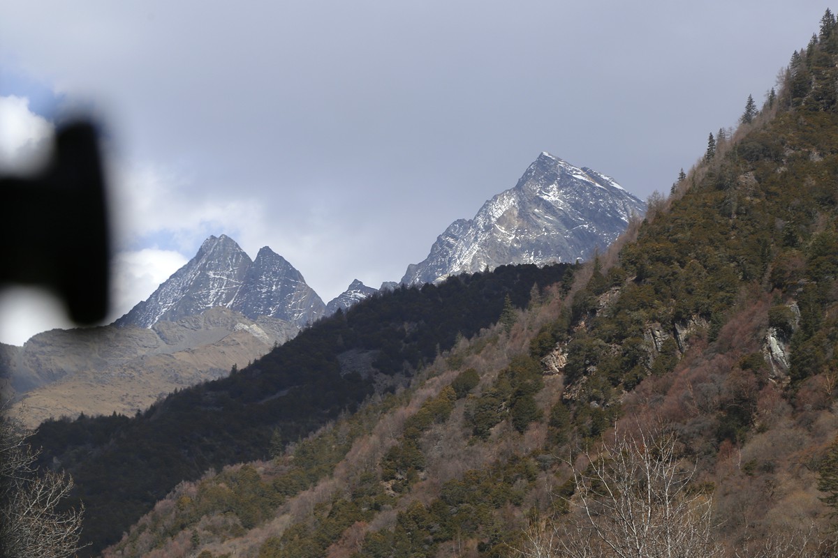 _MG_6905_副本.jpg