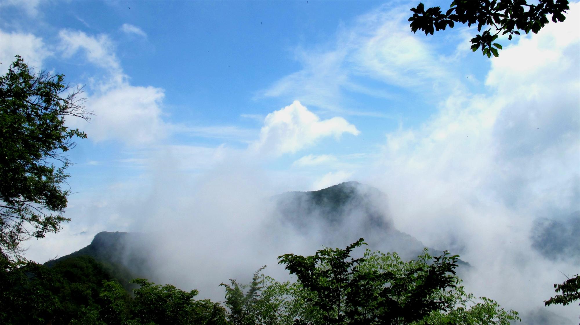 IMG_3279_看图王.jpg