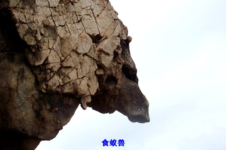 108_0803_缩小大小.JPG