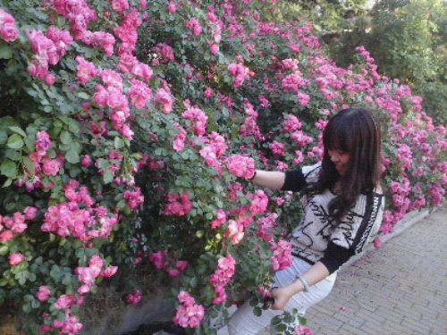 20150527_175848.jpg