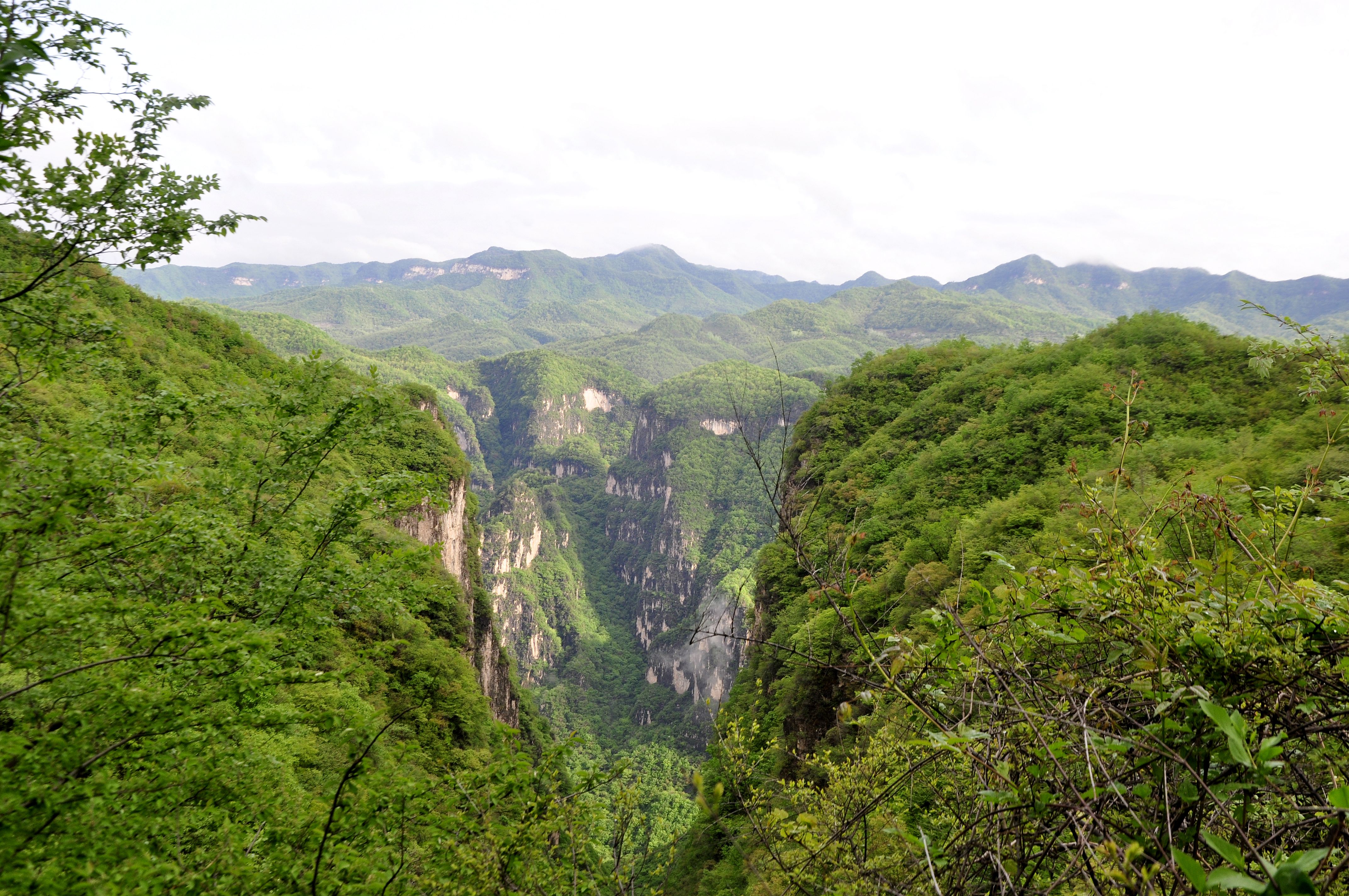 _DSC0230_副本.jpg