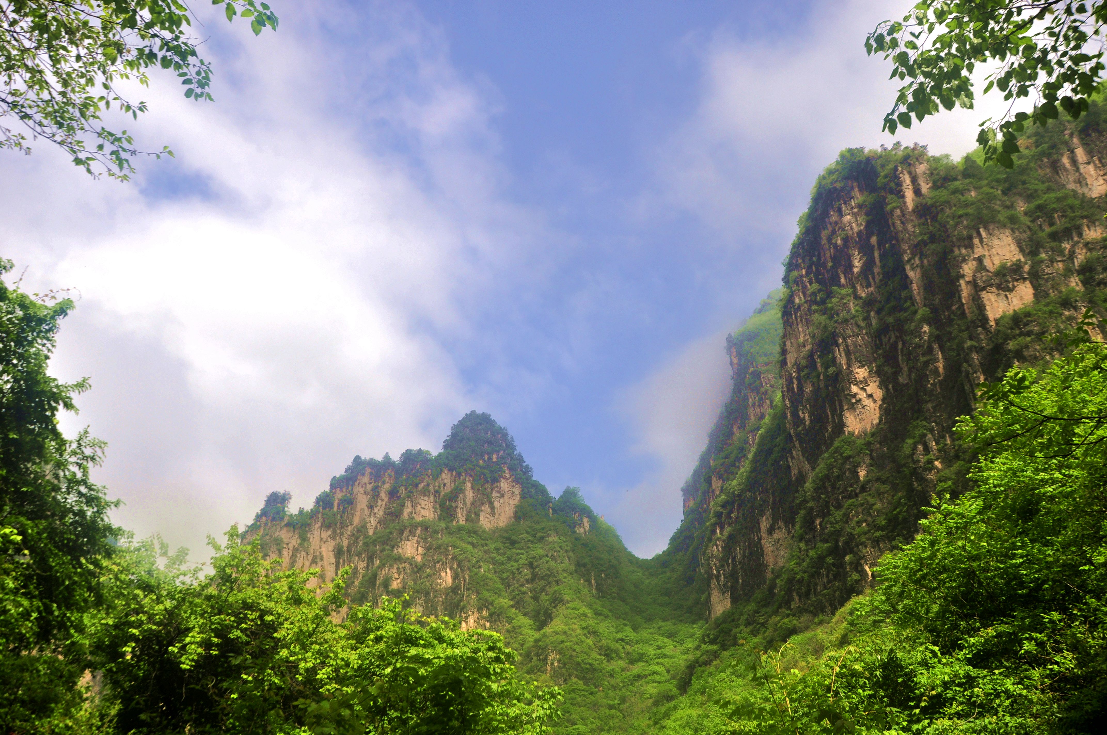_DSC0277_副本.jpg