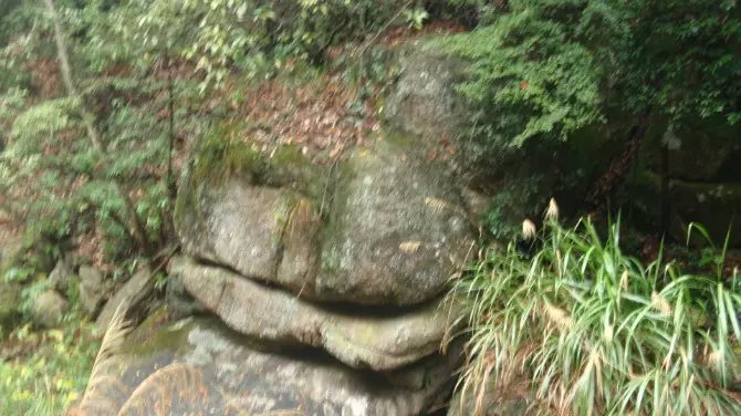 神龟 出山.jpg