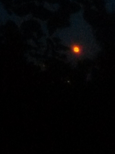 20150603_194613.jpg