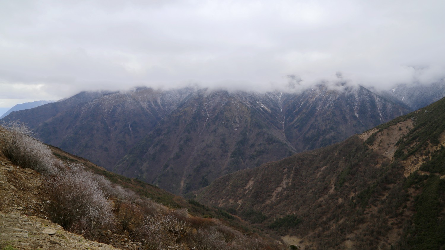 _MG_7951_副本.jpg