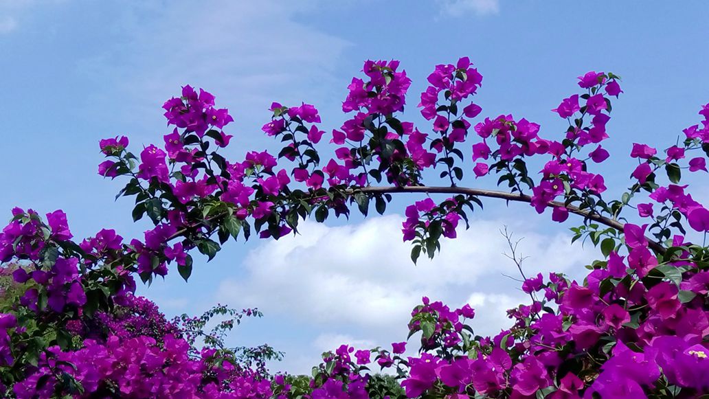 IMG_20150523_145453_副本.jpg