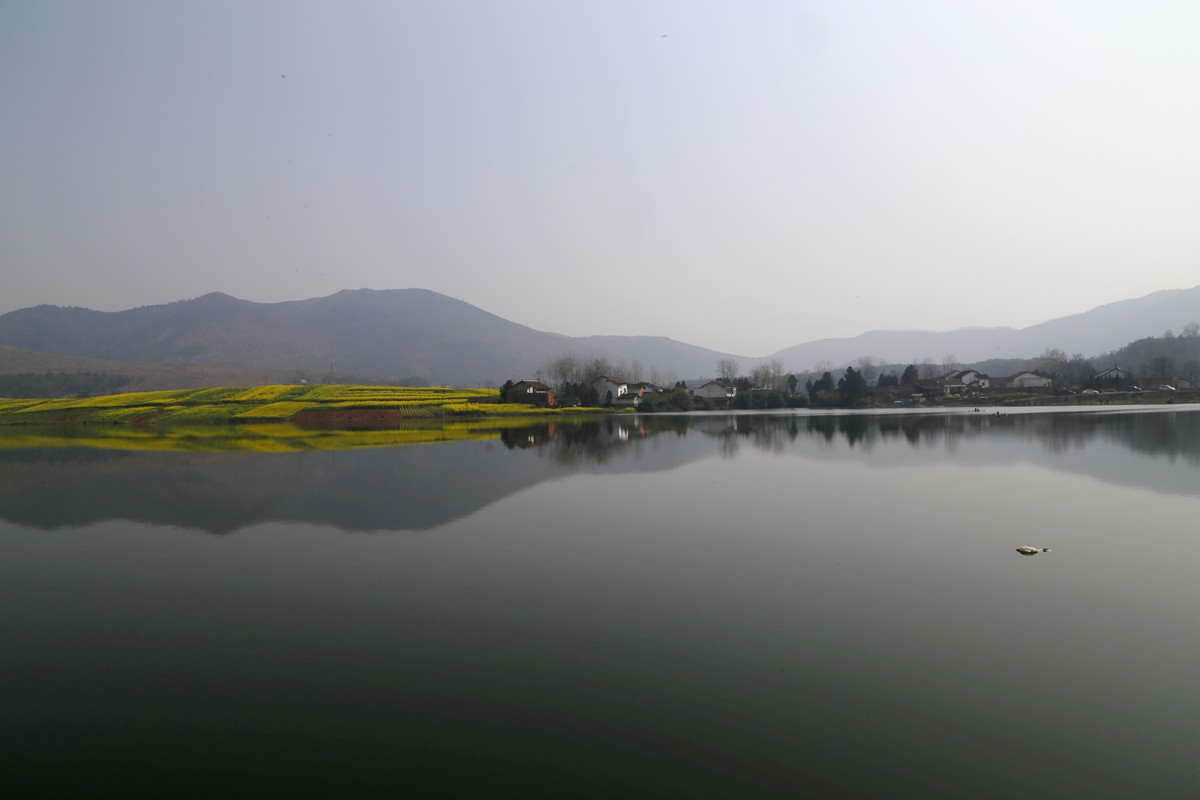 _MG_8085_副本.jpg