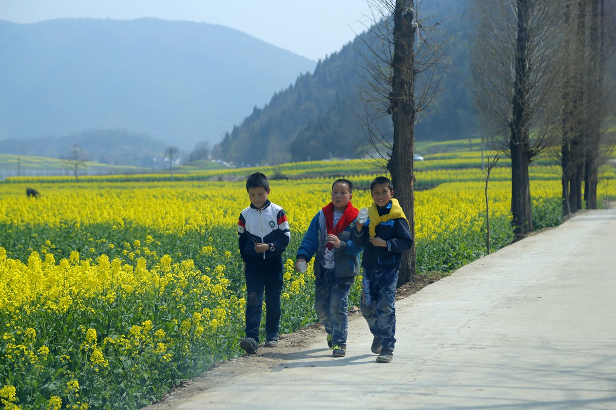 _MG_8255_副本.jpg