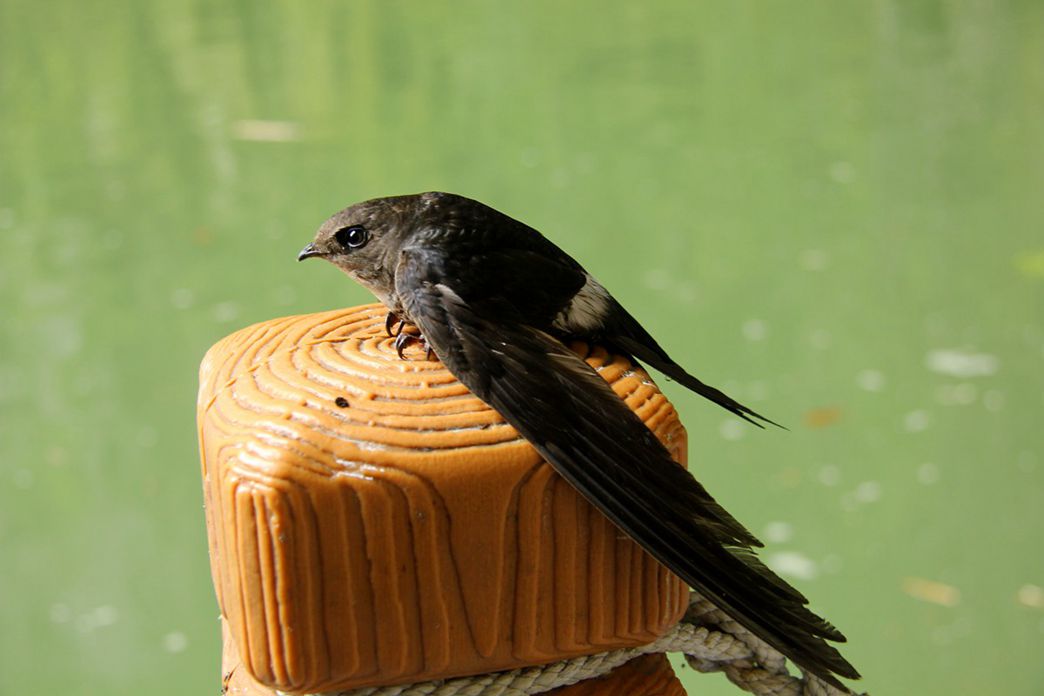 IMG_0857_副本.jpg