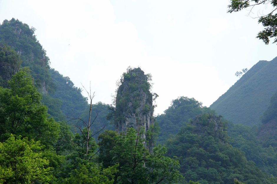 IMG_0924_副本.jpg