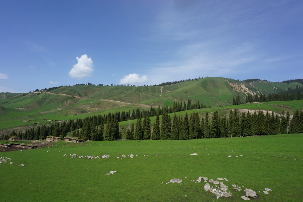 06.jpg