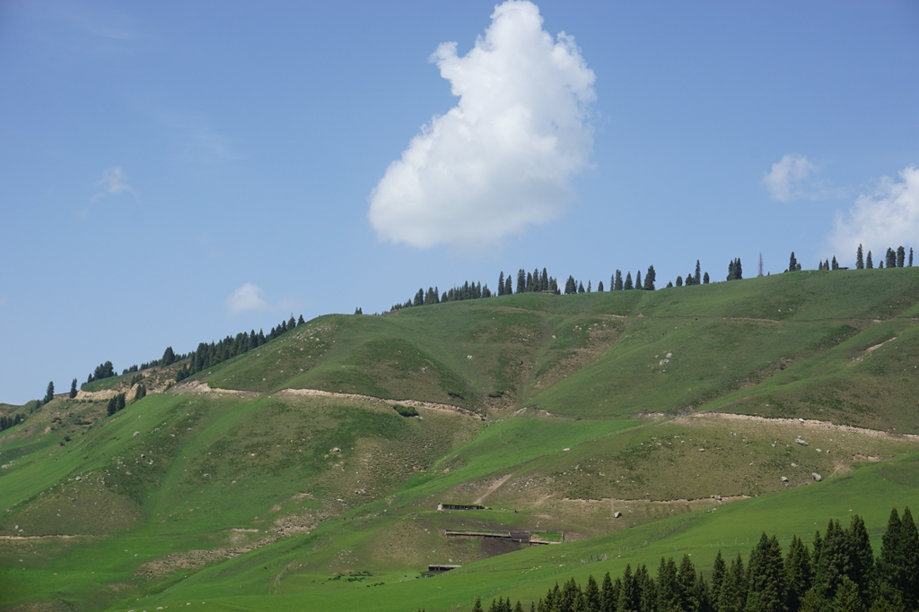 09.jpg