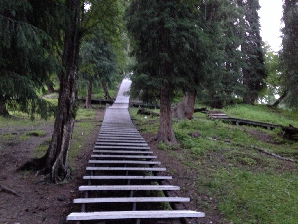 01.jpg
