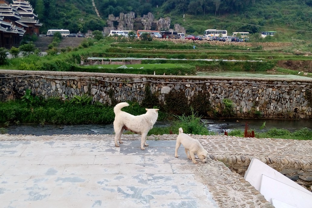 IMG_20150529_060814_副本.jpg