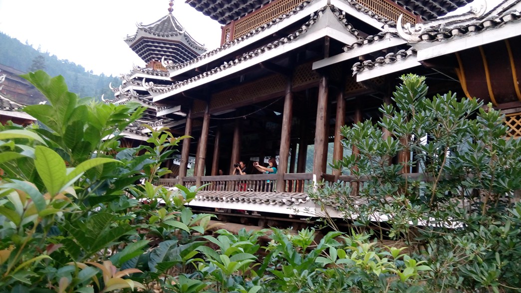 IMG_20150529_061548_副本.jpg