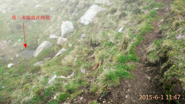 IMG_20150601_114735.jpg