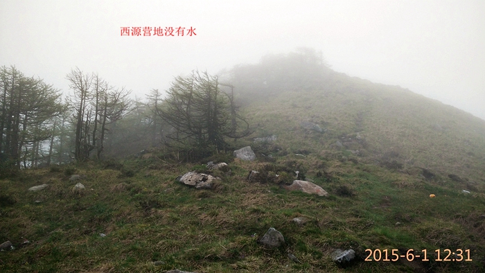 IMG_20150601_123109.jpg