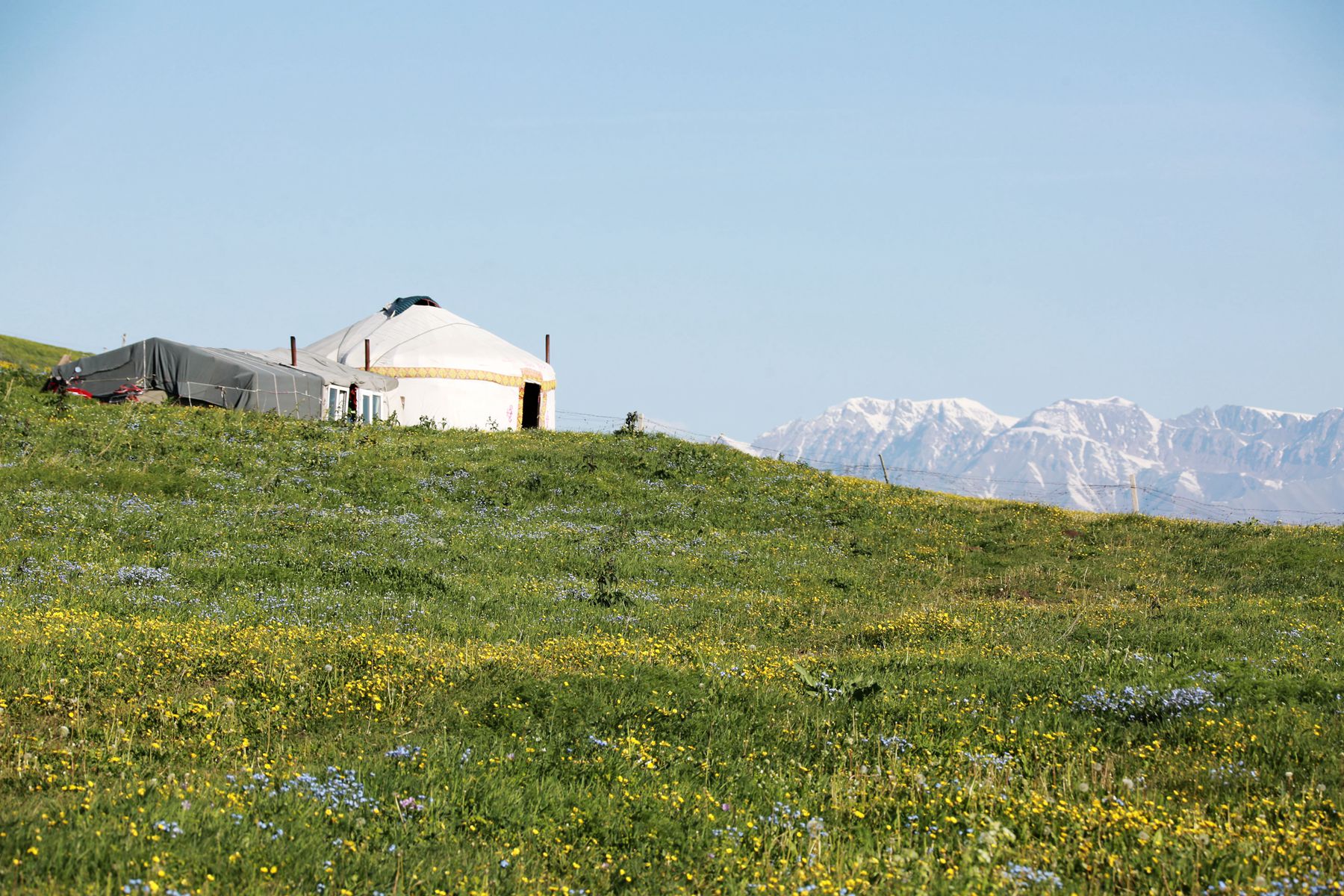 IMGL0368.JPG