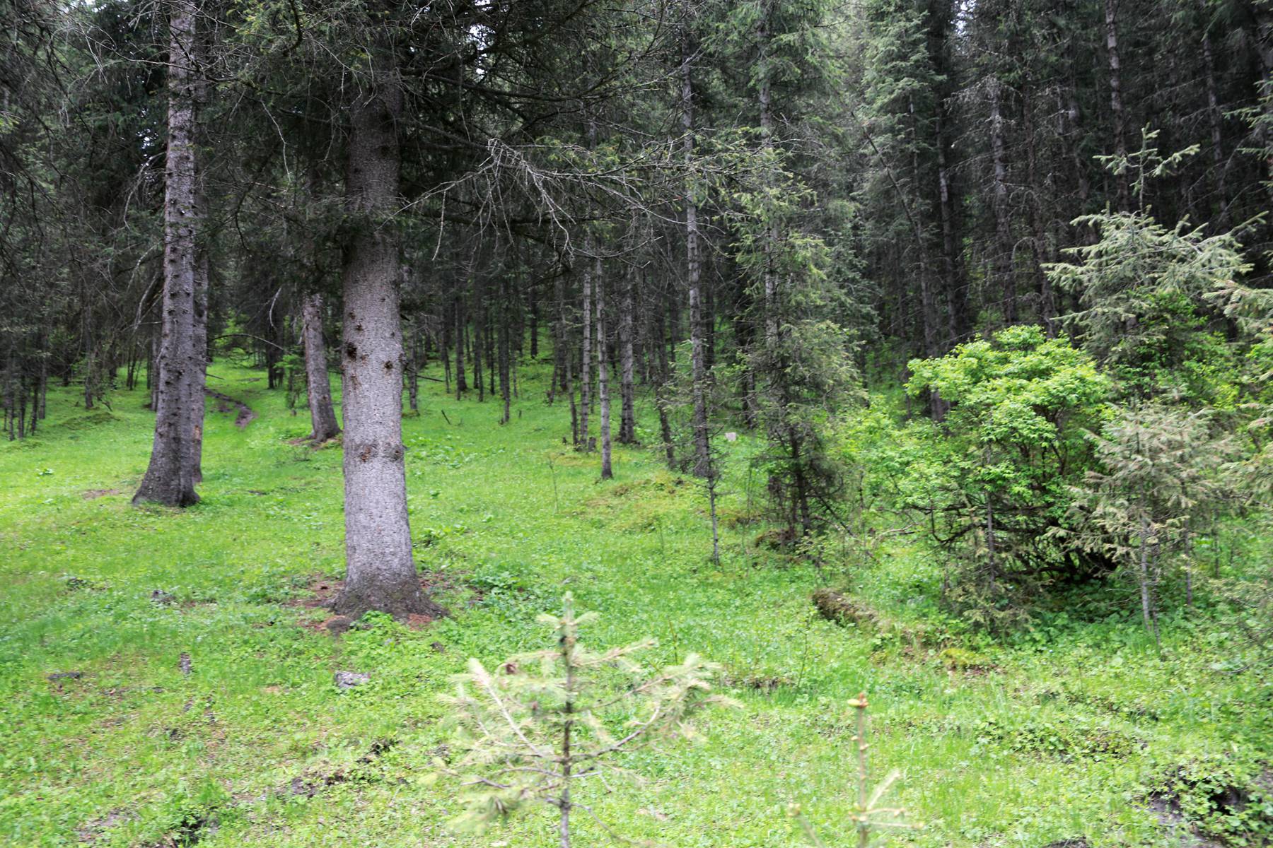 IMGL0632.JPG