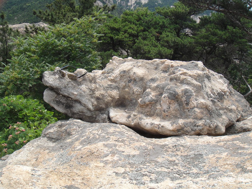 DSC06410.jpg