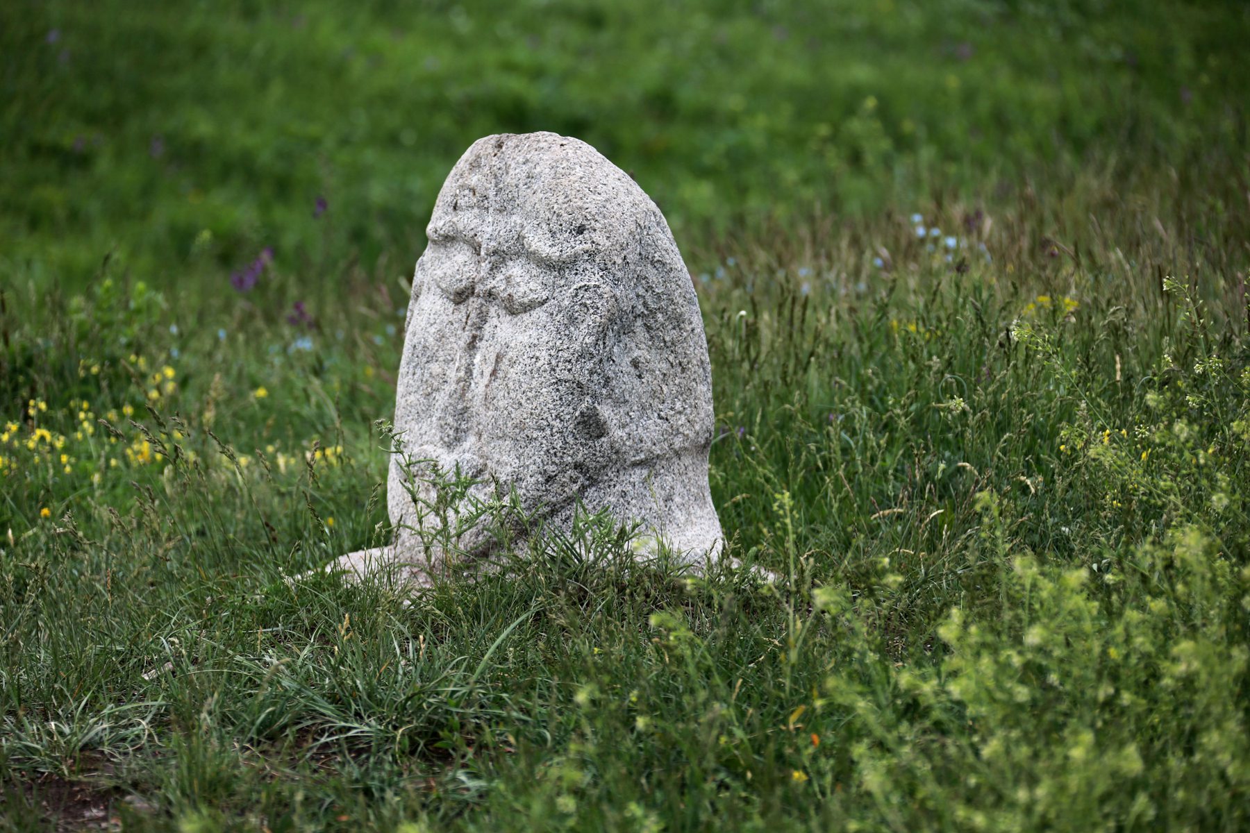 IMGL0867.JPG