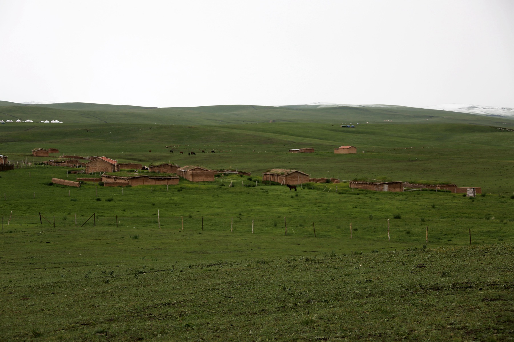 IMGL0950.JPG