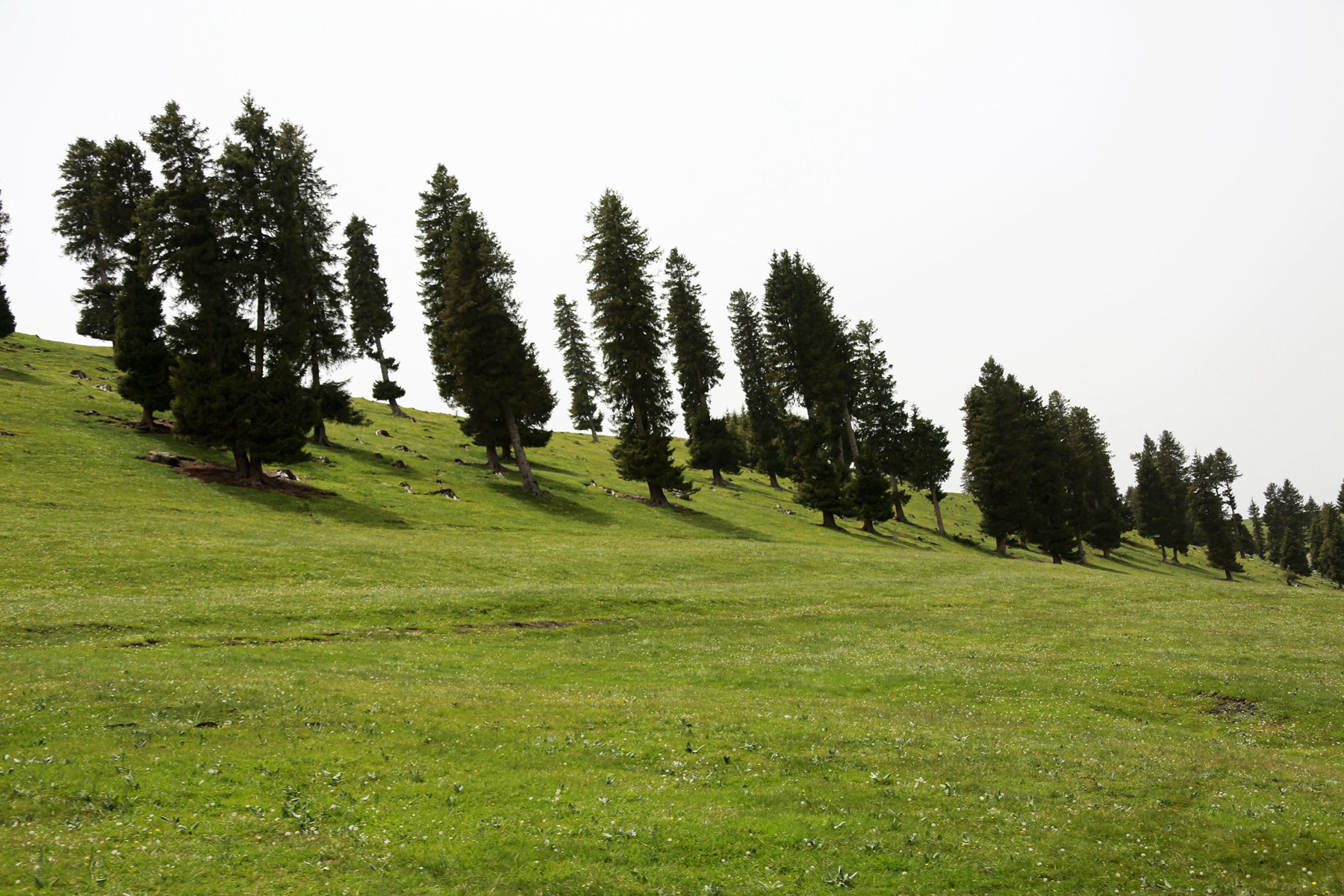 IMGL1190.JPG