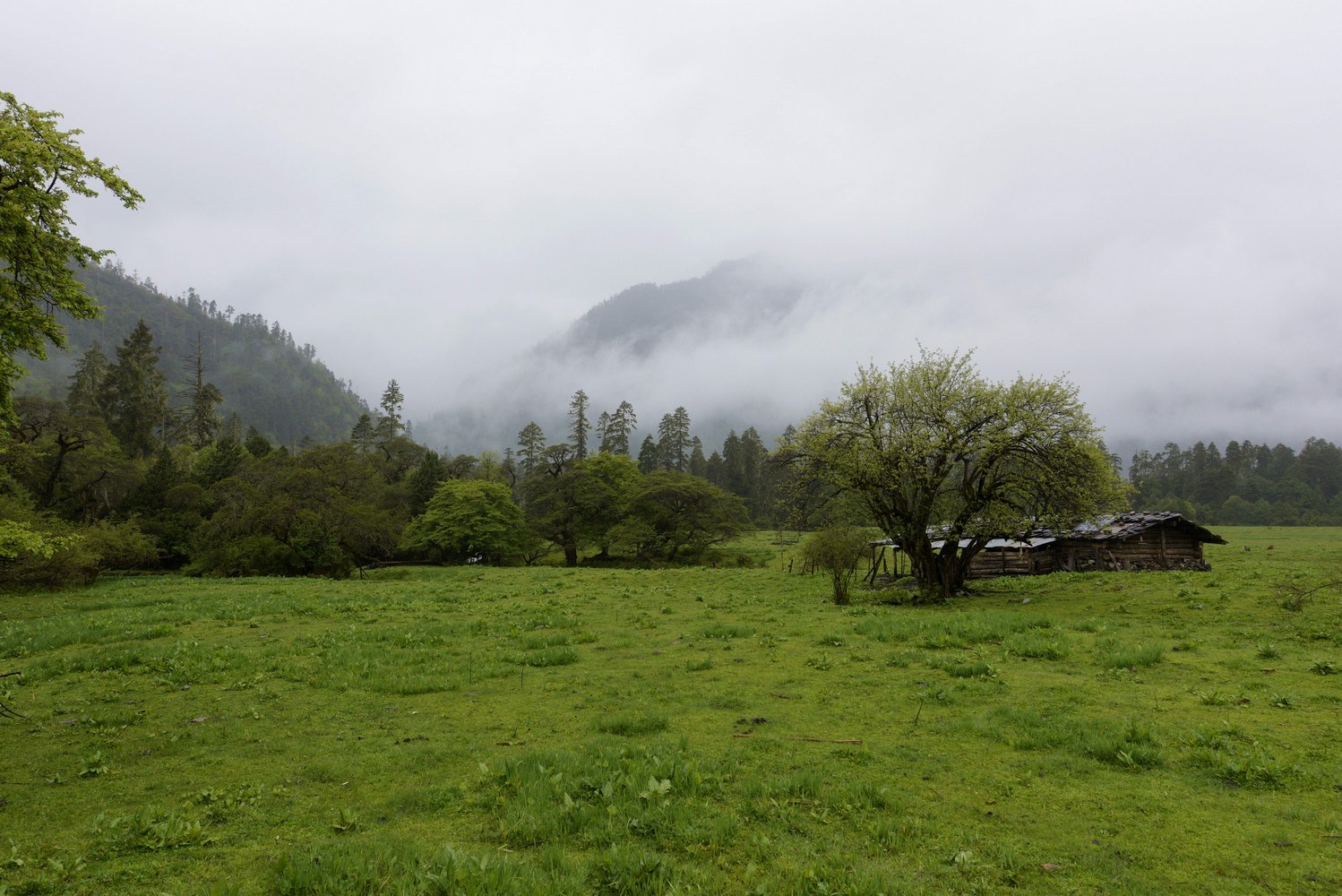 nEO_IMG__LZ00834.jpg