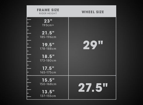 Asset_248888.jpg