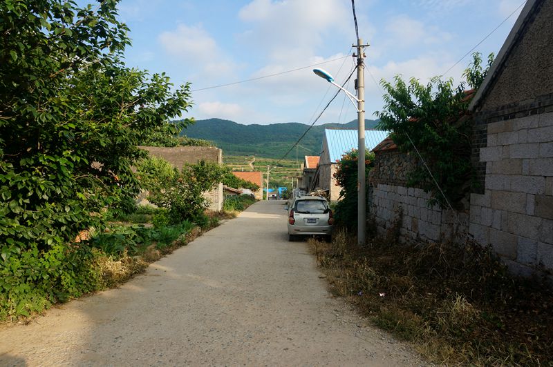 DSC00135_副本.jpg