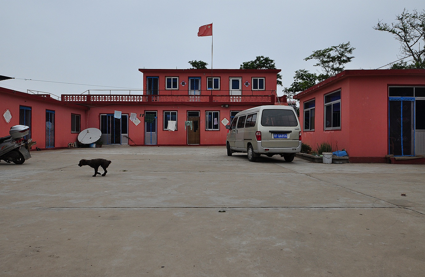 美丽的大钦岛 318.jpg
