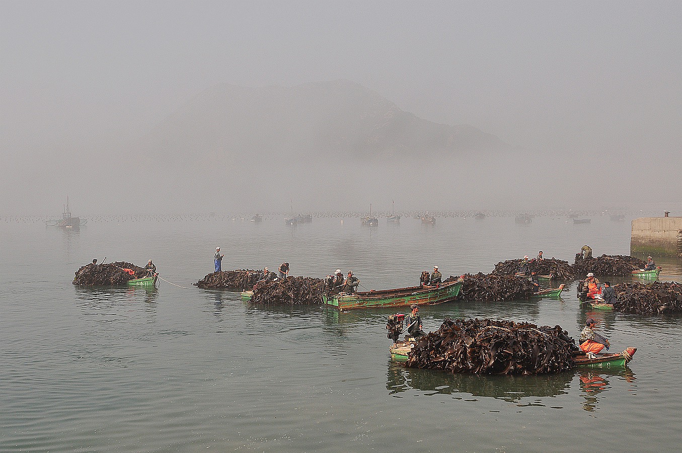 美丽的大钦岛 418.jpg