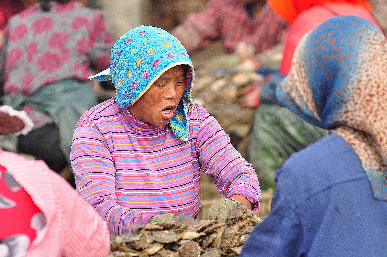 美丽的大钦岛 451.jpg