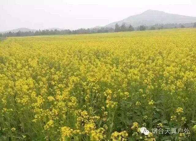 QQ图片20150727203640.jpg