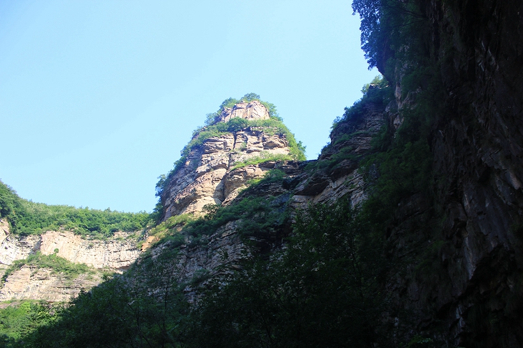 IMG_1184.jpg