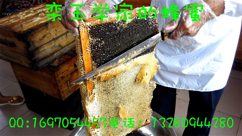 真正酿制成熟的蜂蜜，蜜蜂会用蜂蜡把蜂蜜封在蜂巢里，所以割蜜是封盖蜜必不可少的步骤