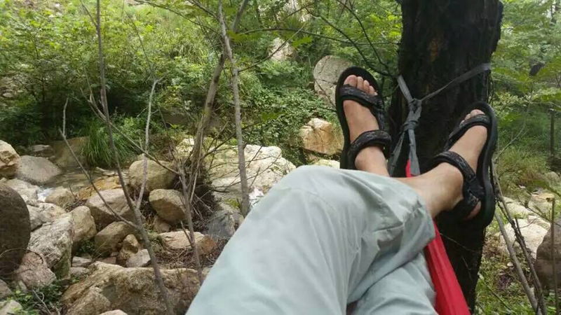QQ图片20150811102613.jpg