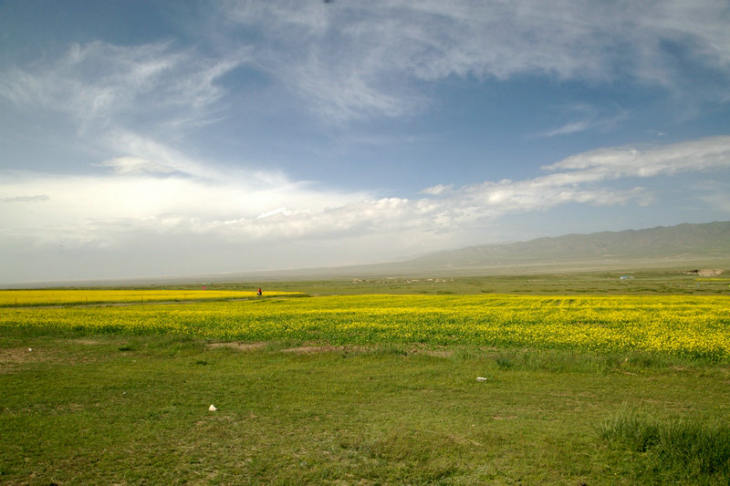 8E2A6700.jpg