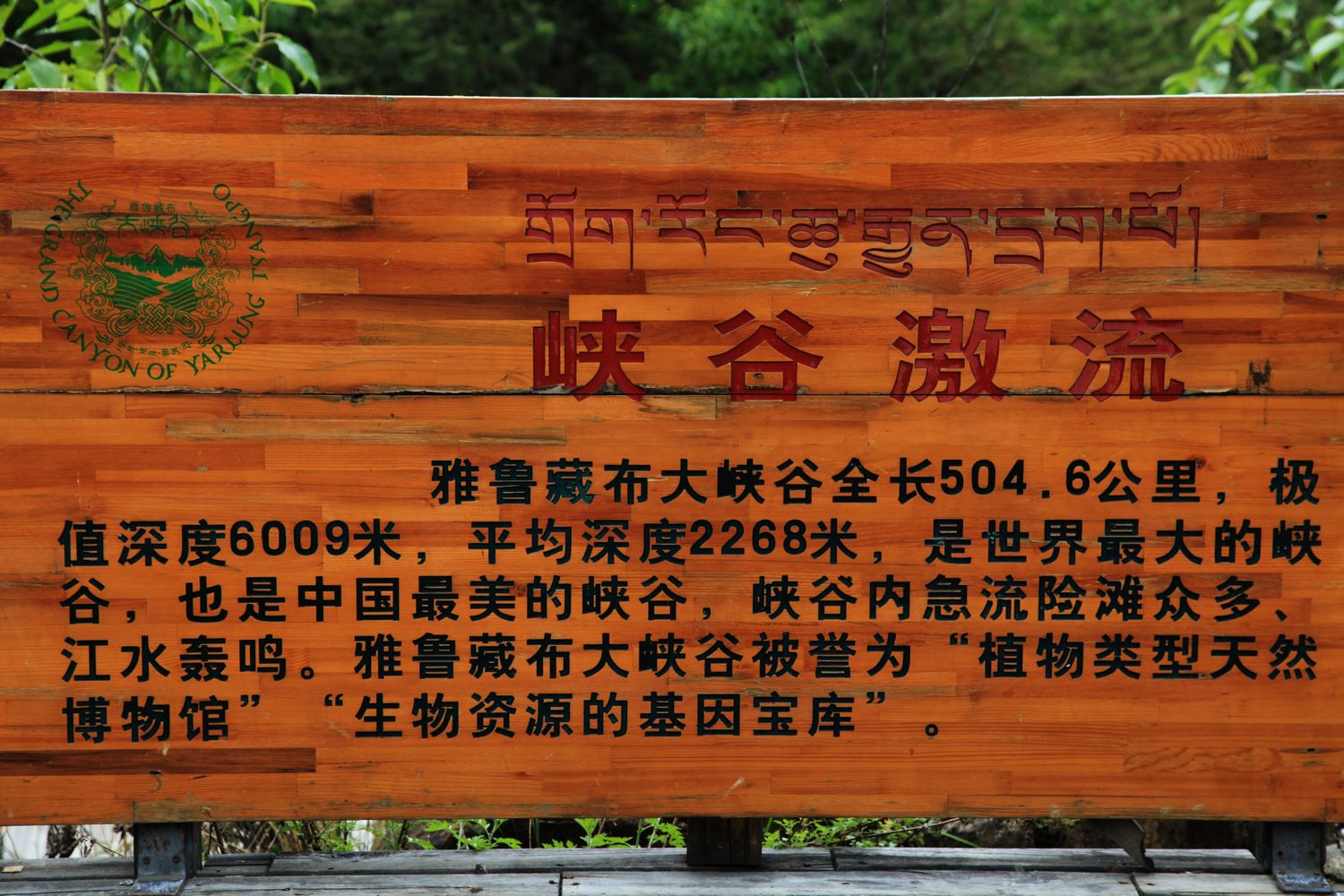 西藏 338.jpg