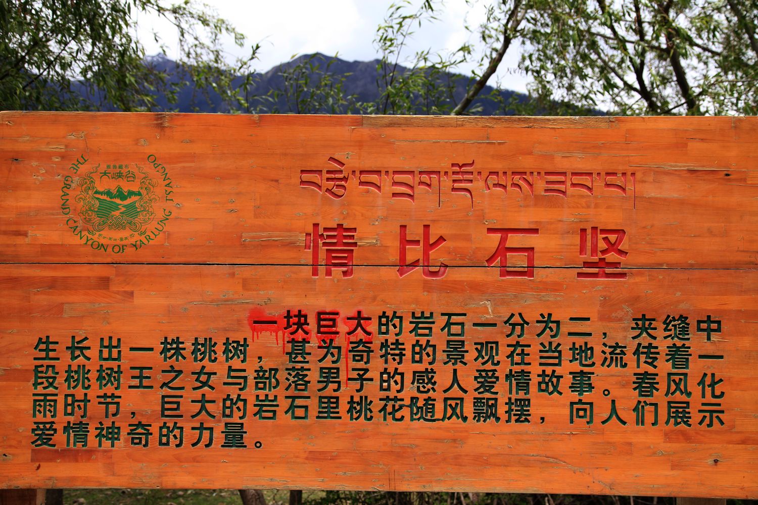 西藏 260.jpg