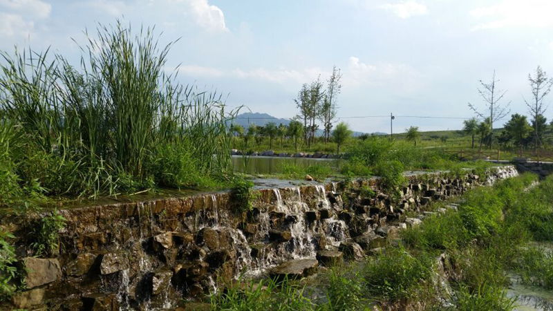 QQ图片20150823164956_副本.jpg