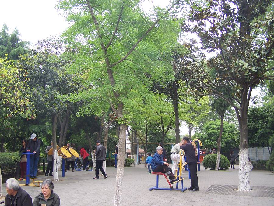 100_9900.jpg