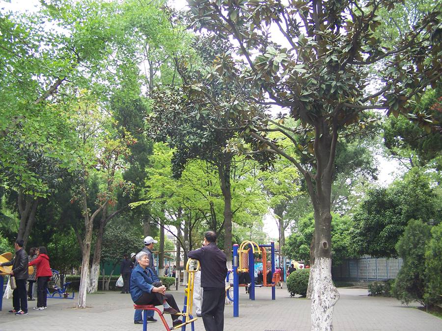 100_9901.jpg