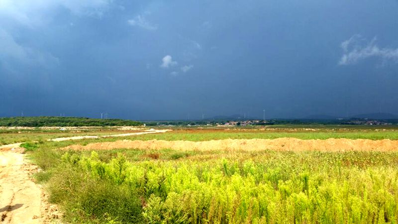 QQ图片20150913091134.jpg