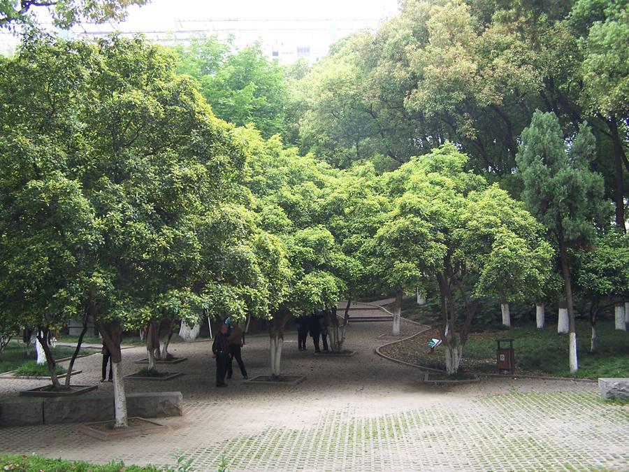100_9832.jpg