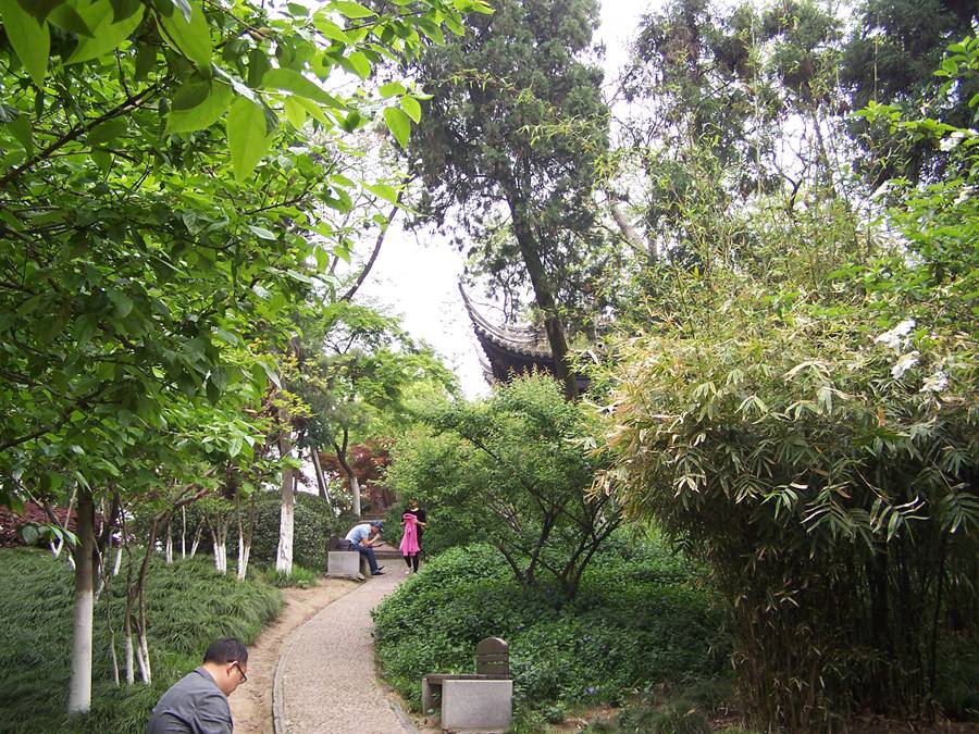 100_9835.jpg