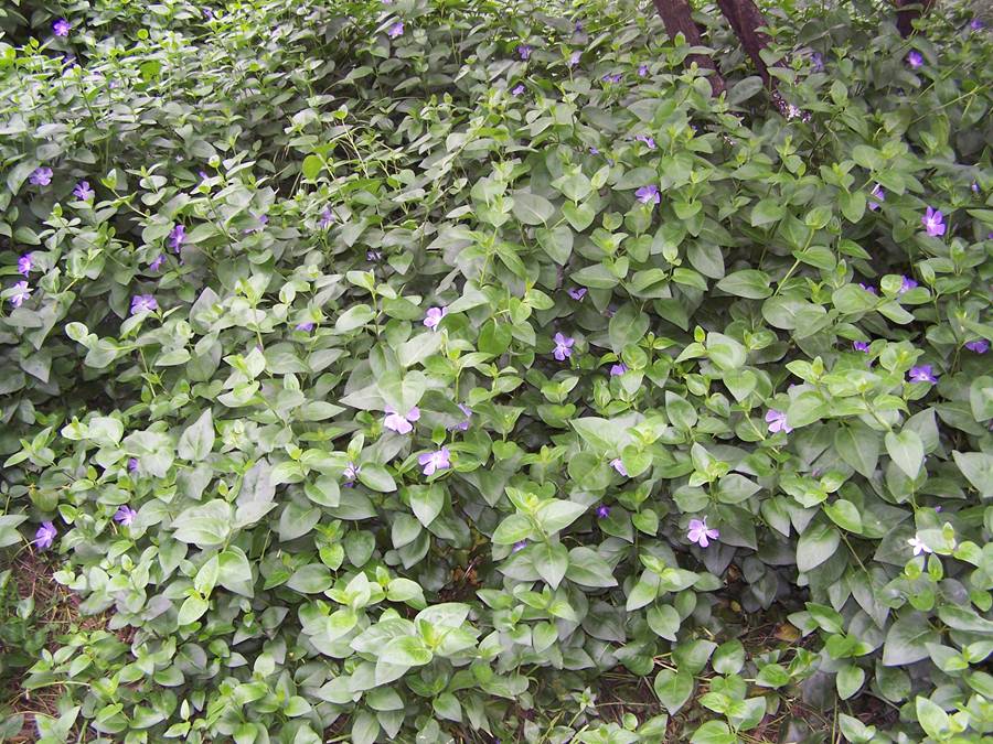 100_9837.jpg