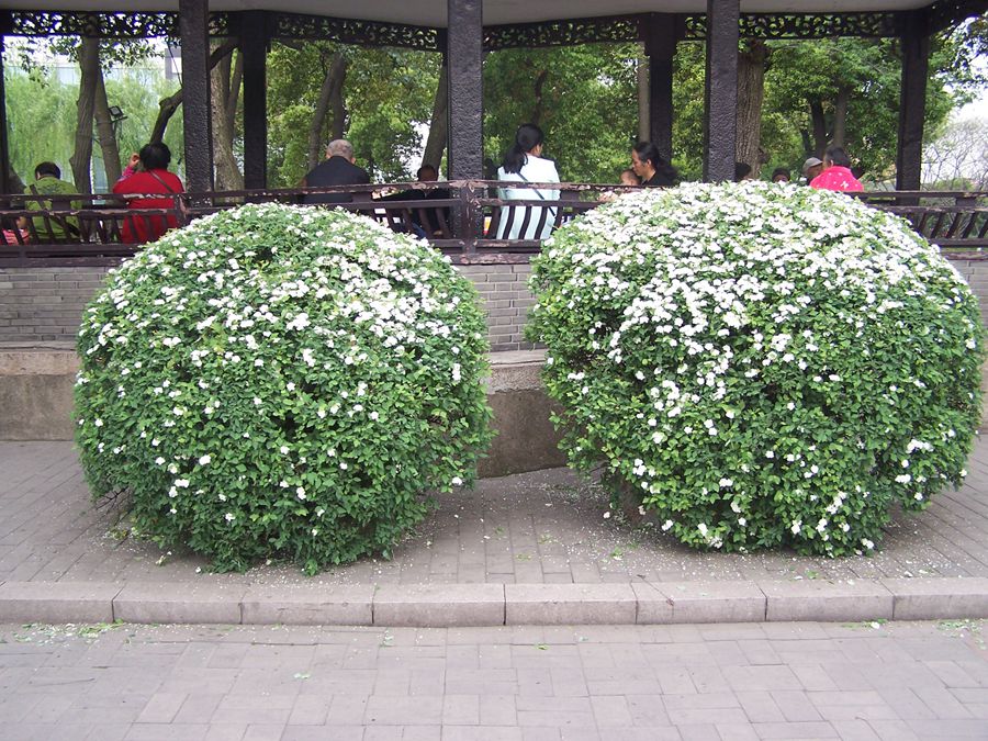 100_9847.jpg