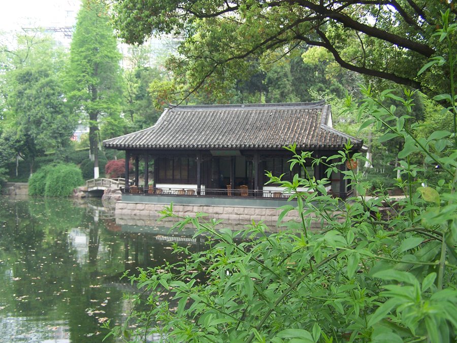 100_9856.jpg