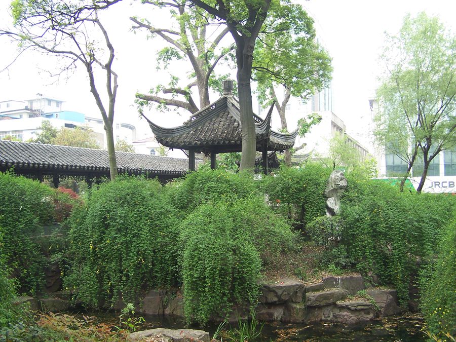 100_9868.jpg